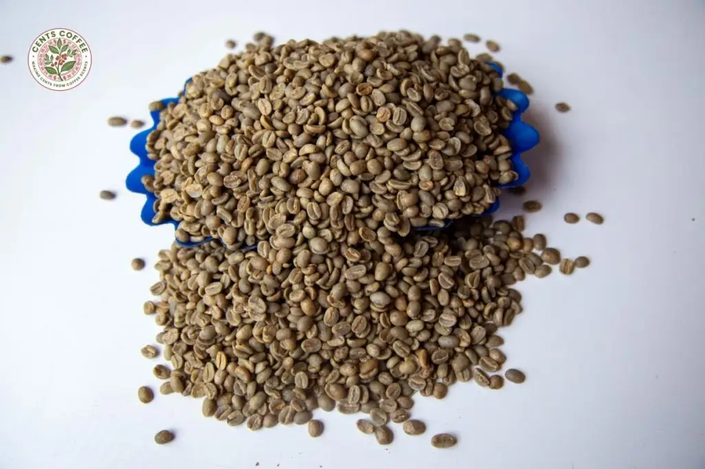 Arabica Coffee AA & AB