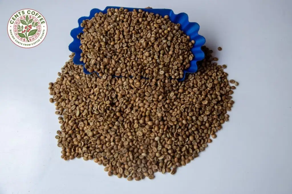 Ugandan Robusta Flavor Coffee