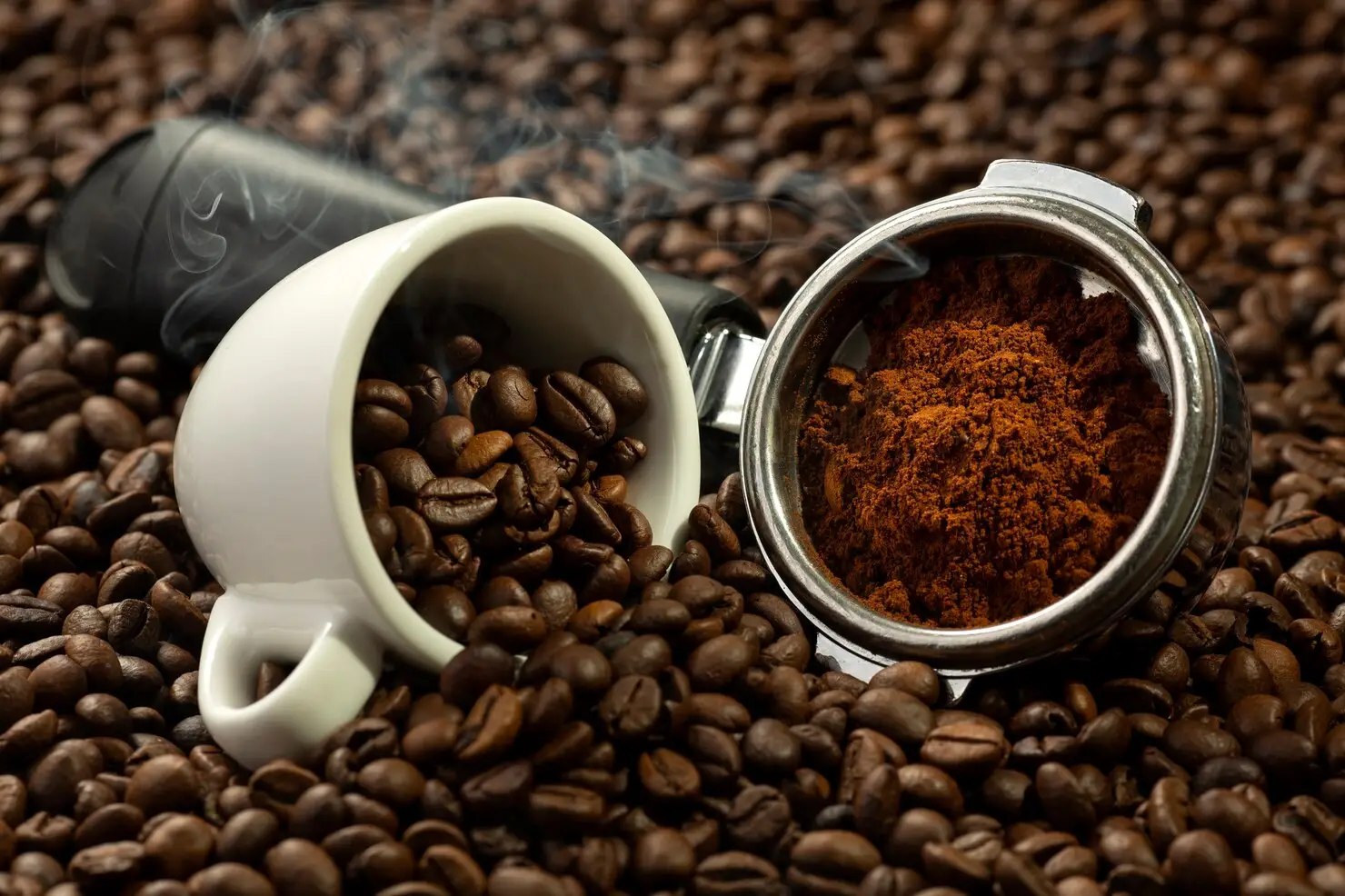 Fresh roasted coffee beans