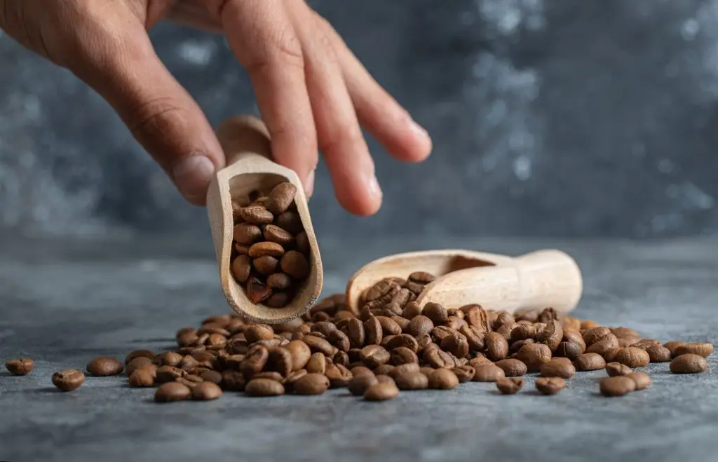 Organic green coffee beans