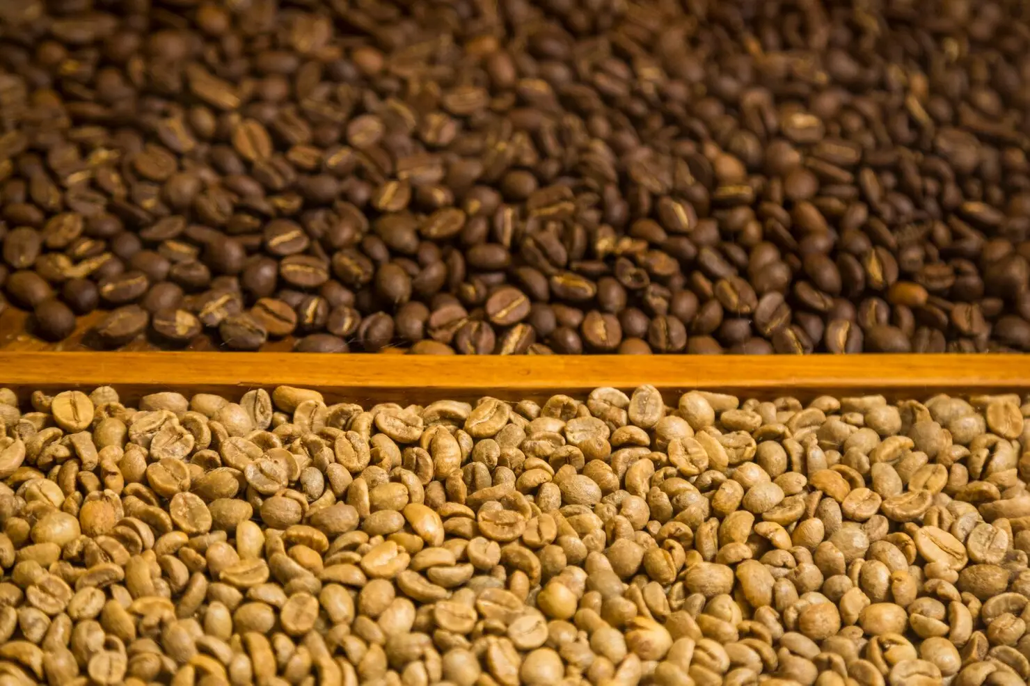 raw coffee beans