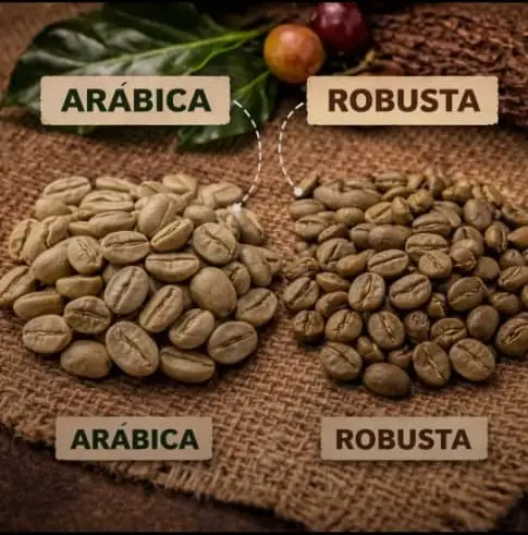 Arabica vs Robusta beans on burlap