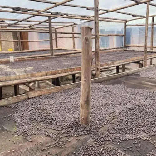 HOMEPAGE BACKGROUND 1