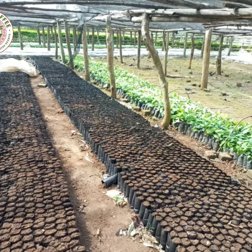 HOMEPAGE BACKGROUND 2