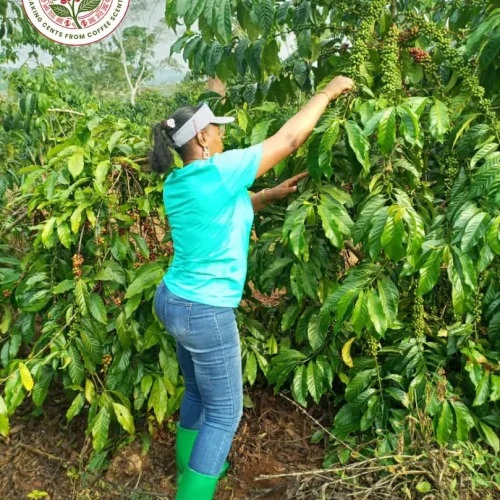 HOMEPAGE BACKGROUND 4