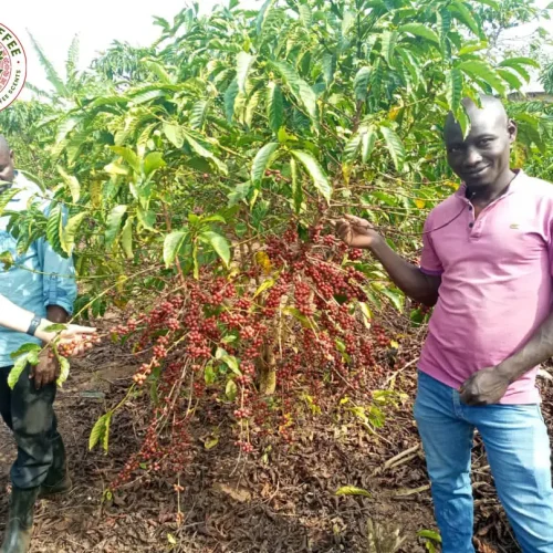 HOMEPAGE BACKGROUND 5