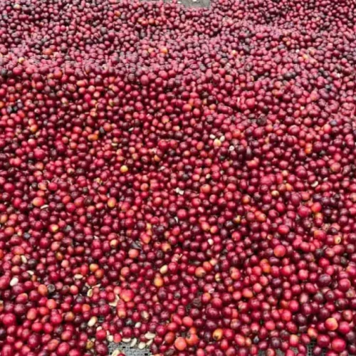 HOMEPAGE BACKGROUND 6